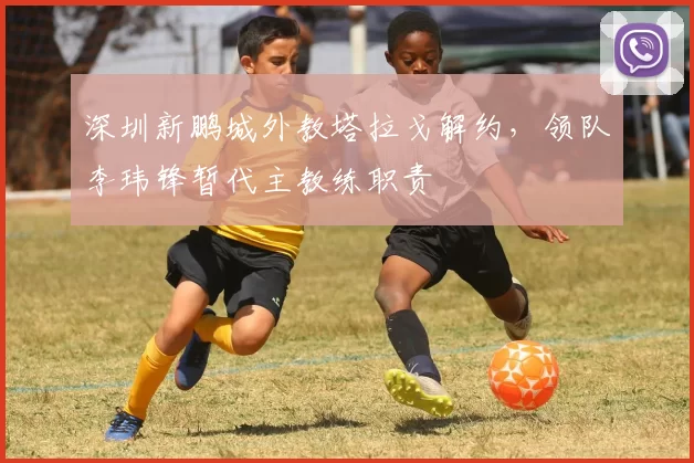 深圳新鹏城外教塔拉戈解约，领队李玮锋暂代主教练职责